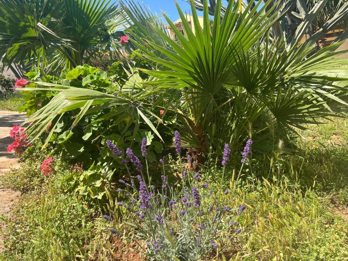 Nespolilla Villa Petrosino Eksteriør bilde